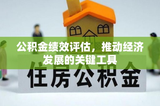 曲松公积金绩效评估，推动经济发展的关键工具