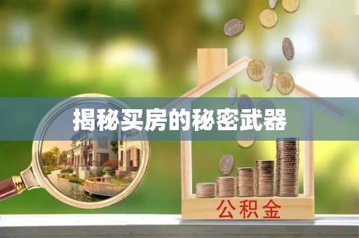 曲松揭秘买房的秘密武器