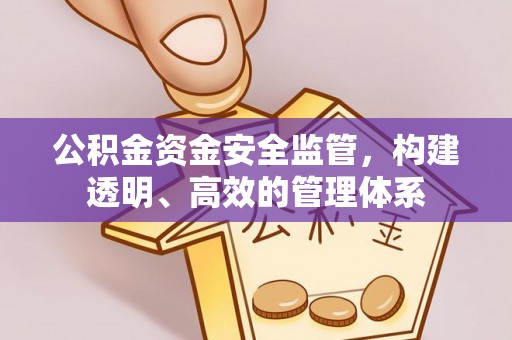 曲松公积金资金安全监管，构建透明、高效的管理体系