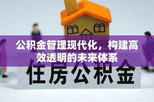 曲松公积金管理现代化，构建高效透明的未来体系