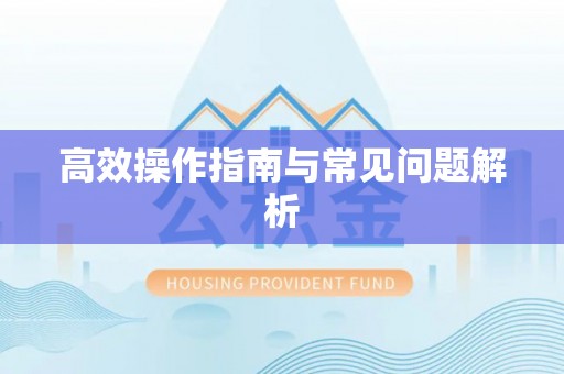 曲松高效操作指南与常见问题解析