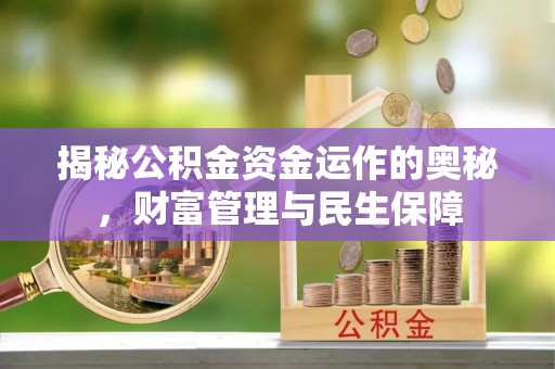 曲松揭秘公积金资金运作的奥秘，财富管理与民生保障