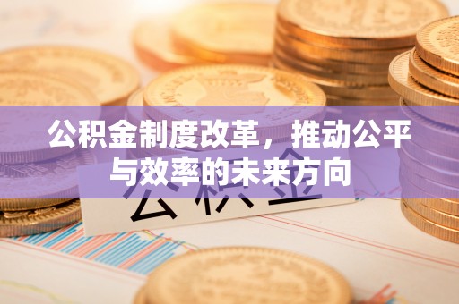 曲松公积金制度改革，推动公平与效率的未来方向
