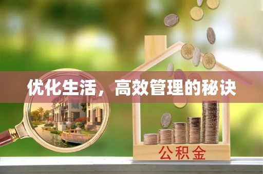 曲松优化生活，高效管理的秘诀
