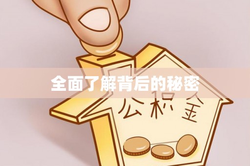 曲松全面了解背后的秘密