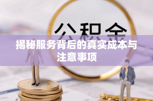 曲松揭秘服务背后的真实成本与注意事项