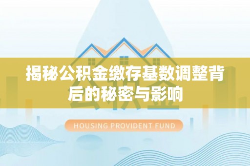 曲松揭秘公积金缴存基数调整背后的秘密与影响