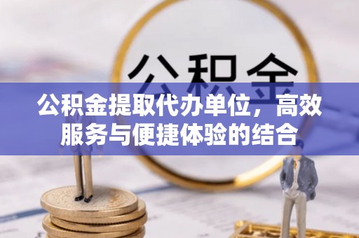曲松公积金提取代办单位，高效服务与便捷体验的结合