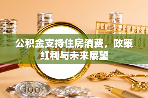 曲松公积金支持住房消费，政策红利与未来展望