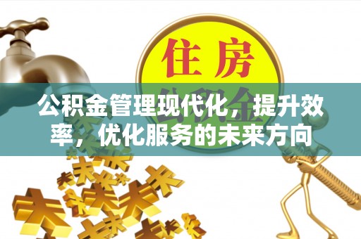 曲松公积金管理现代化，提升效率，优化服务的未来方向