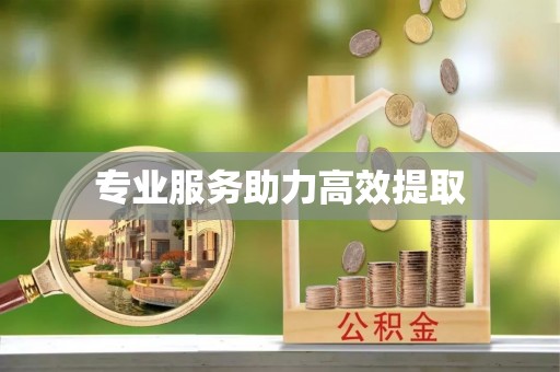 曲松专业服务助力高效提取