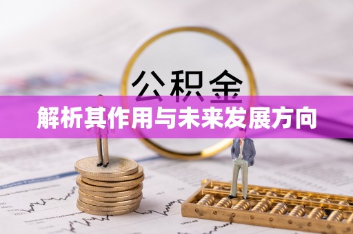 曲松解析其作用与未来发展方向