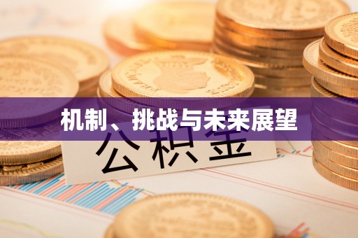 曲松机制、挑战与未来展望