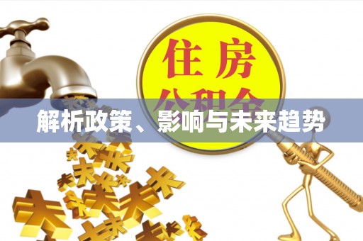 曲松解析政策、影响与未来趋势
